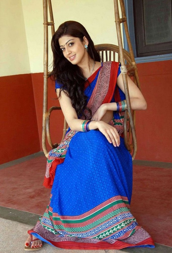 Beautiful Photos Of Actress Pranitha In Saree 10