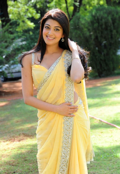 Beautiful Photos Of Actress Pranitha In Saree 16