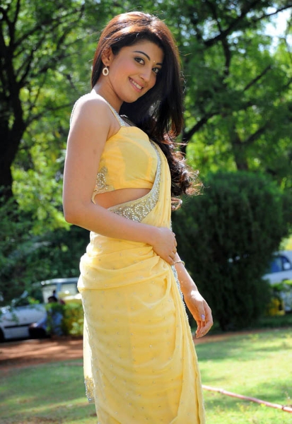 Beautiful Photos Of Actress Pranitha In Saree 18
