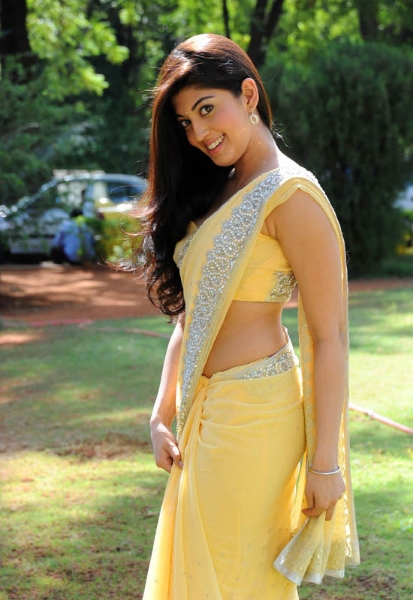 Beautiful Photos Of Actress Pranitha In Saree 19