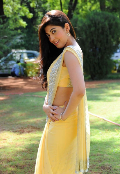 Beautiful Photos Of Actress Pranitha In Saree 22