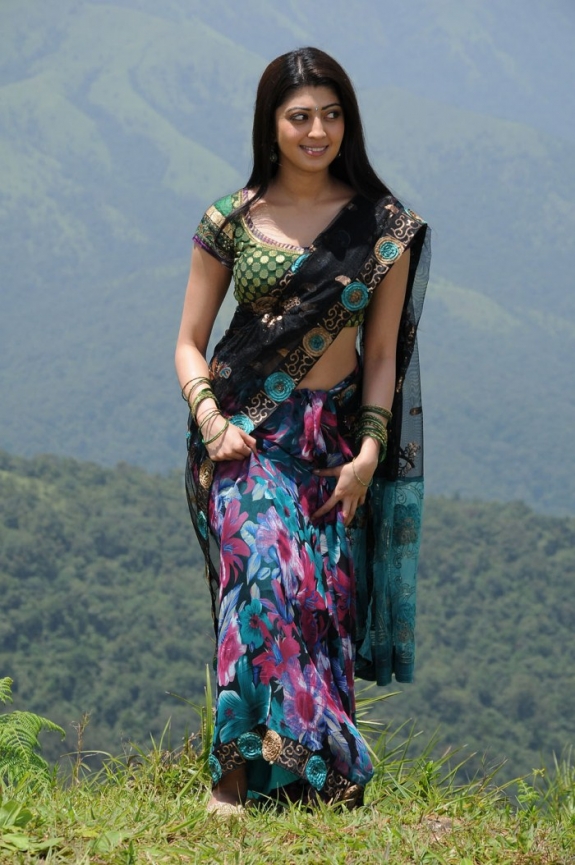Beautiful Photos Of Actress Pranitha In Saree 9