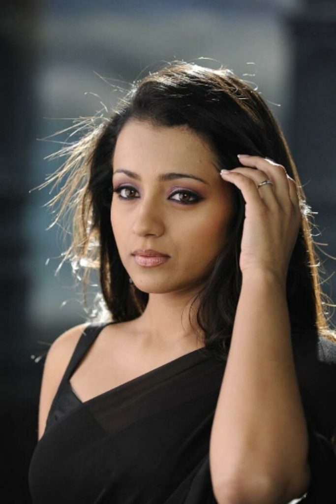 Heroine Trisha Beautiful Saree Stills 5