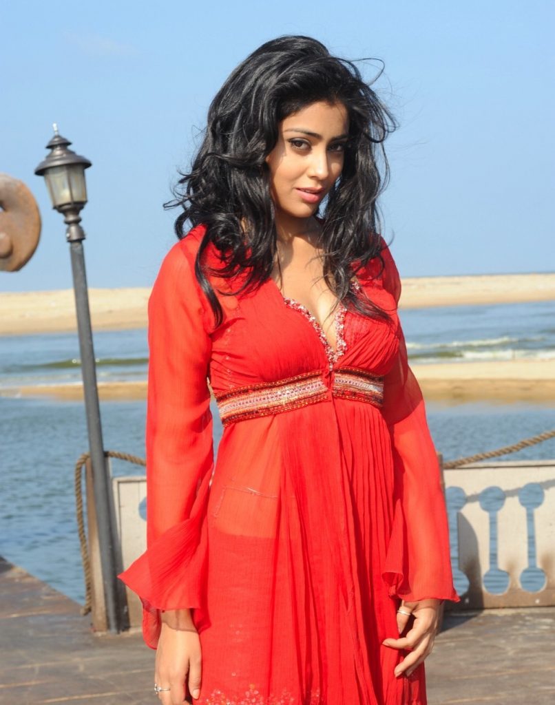 Popular Heroine Shriya Saran Sexiest Pictures 13