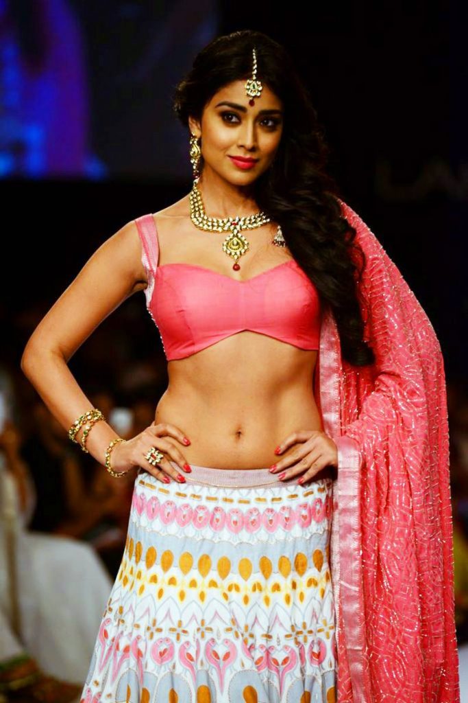 Shriya Actress Hot In Modern Dress 29