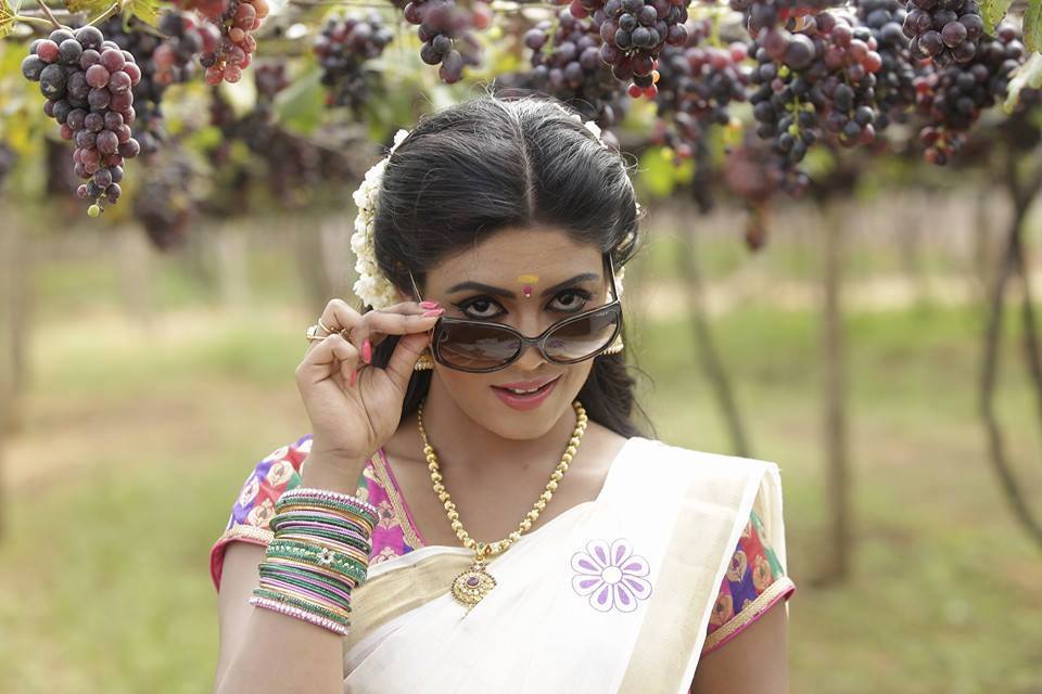 Tamil Cinema Heroine Ineya Beautiful Photos In Saree 1