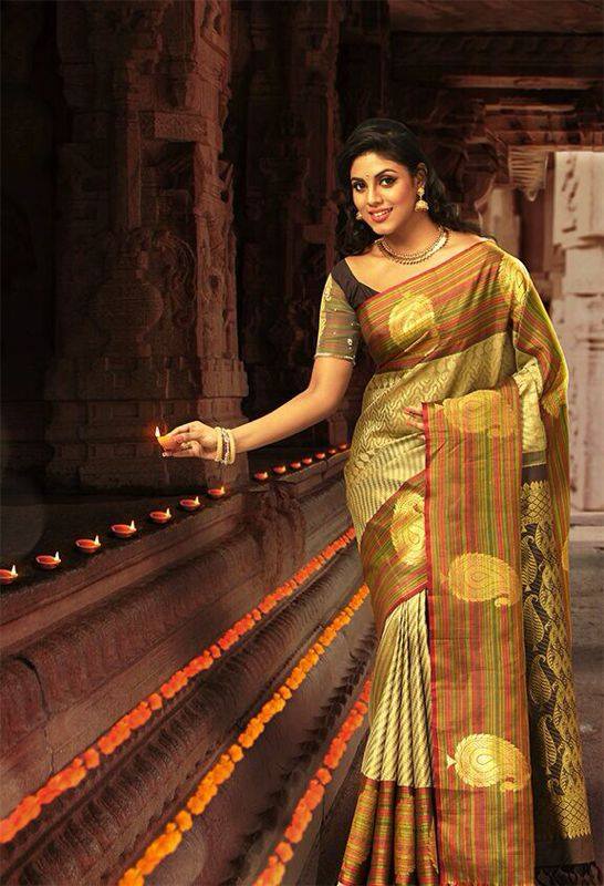 Tamil Cinema Heroine Ineya Beautiful Photos In Saree 10