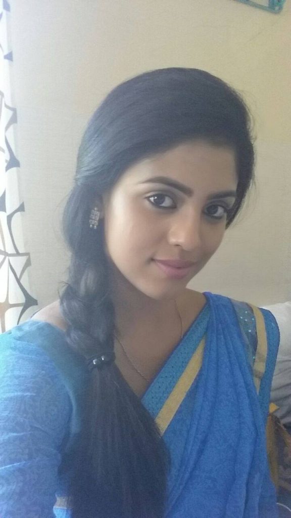 Tamil Cinema Heroine Ineya Beautiful Photos In Saree 13