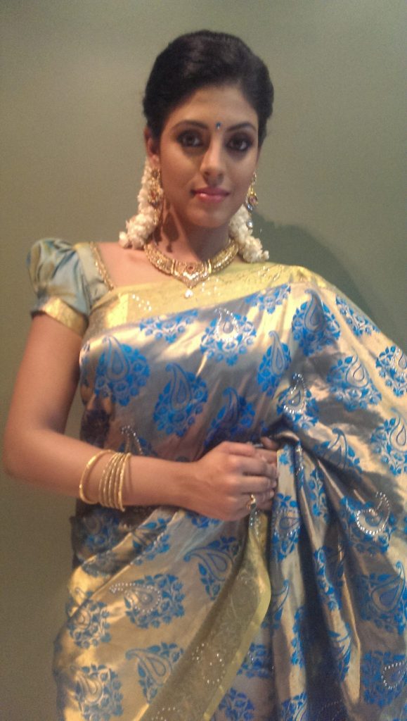 Tamil Cinema Heroine Ineya Beautiful Photos In Saree 17