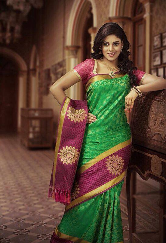 Tamil Cinema Heroine Ineya Beautiful Photos In Saree 19