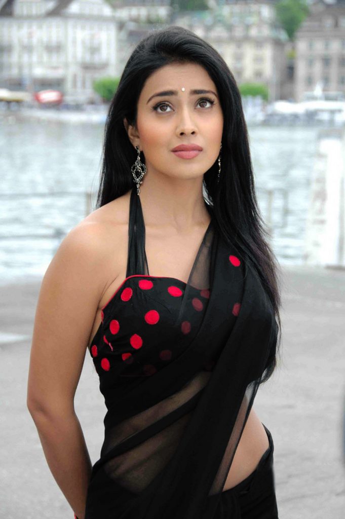 Tamil Cinema Heroine Shriya Beautiful Photos In Saree 13