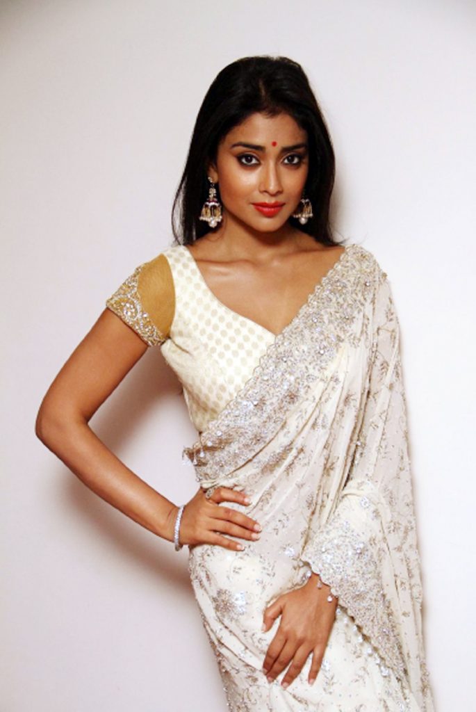 Tamil Cinema Heroine Shriya Beautiful Photos In Saree 2