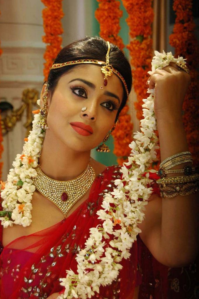 Tamil Cinema Heroine Shriya Beautiful Photos In Saree 20