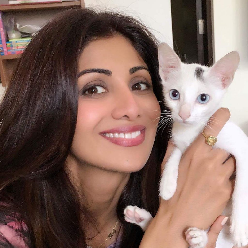 Cute Shilpa Shetty Pose With Her Cat