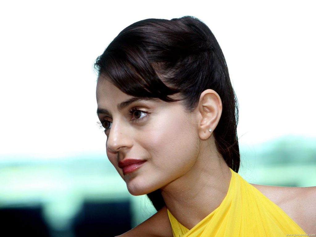 Hot Look Pics Of Ameesha Patel