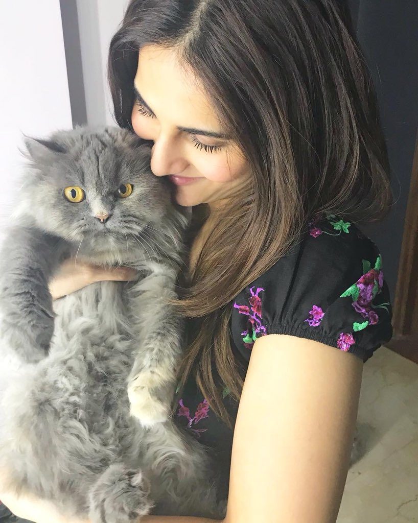 Picture Of Vaani Kapoor With Cute Cat